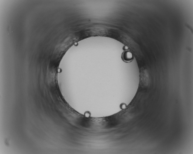 X0000103900333200809191244