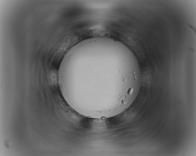 X0000103900335200809191244