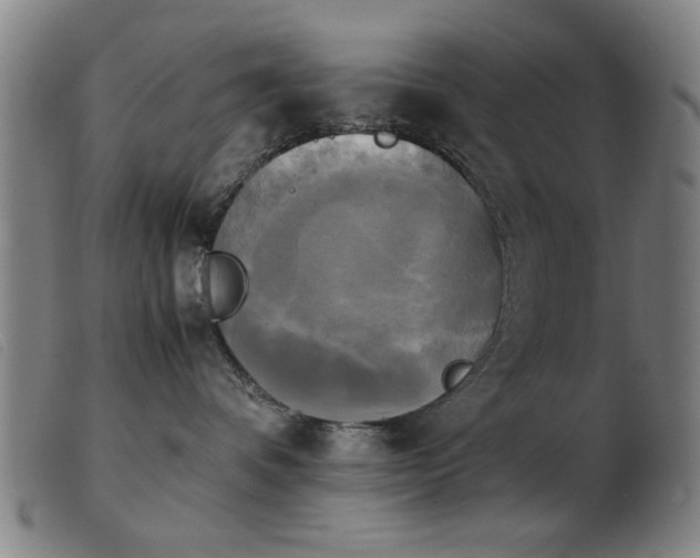 X0000103900336200809191244