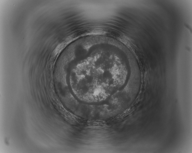 X0000103900337200809191244