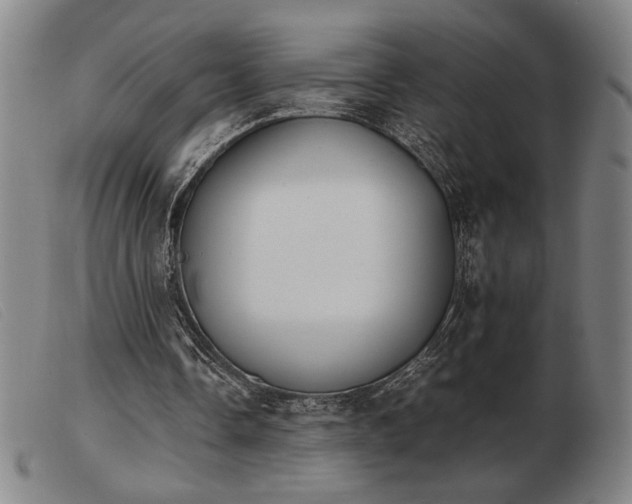 X0000103900338200809191244