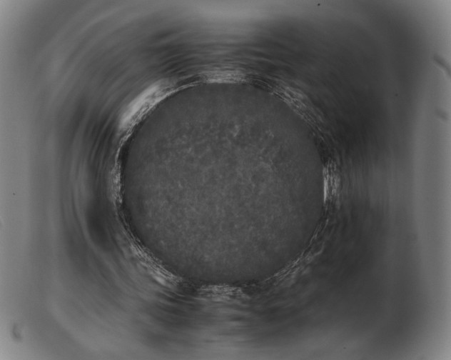 X0000103900339200809191244