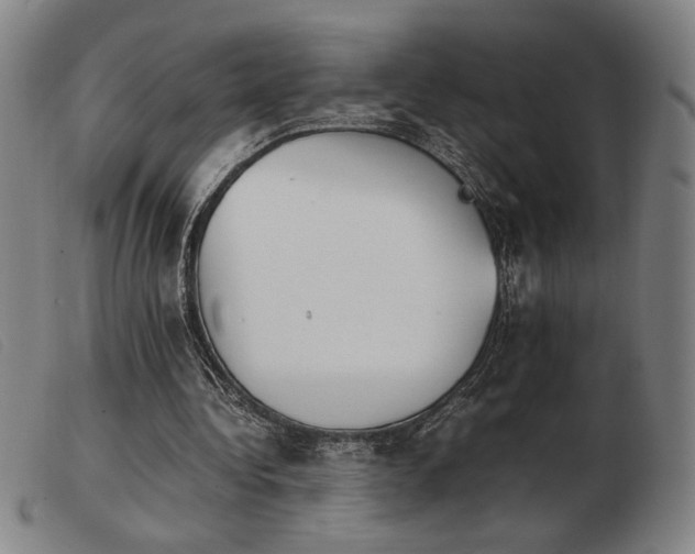 X0000103900340200809191244