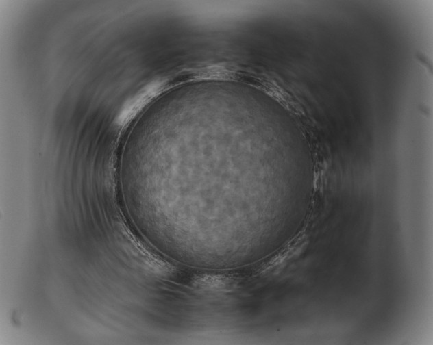 X0000103900341200809191244
