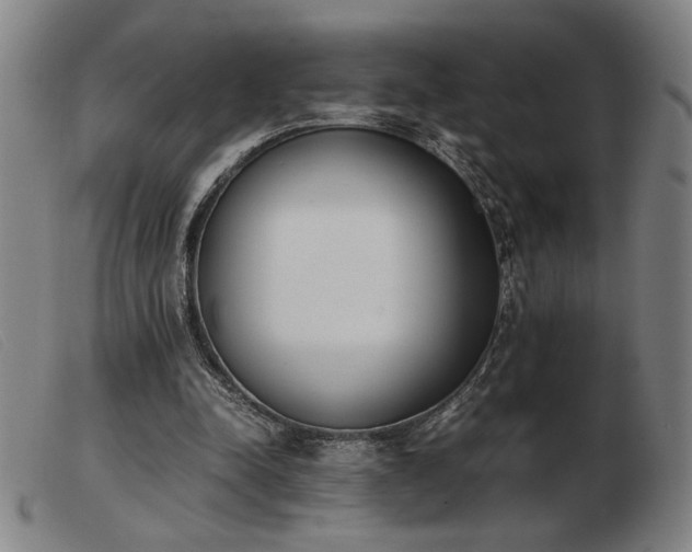 X0000103900342200809191244
