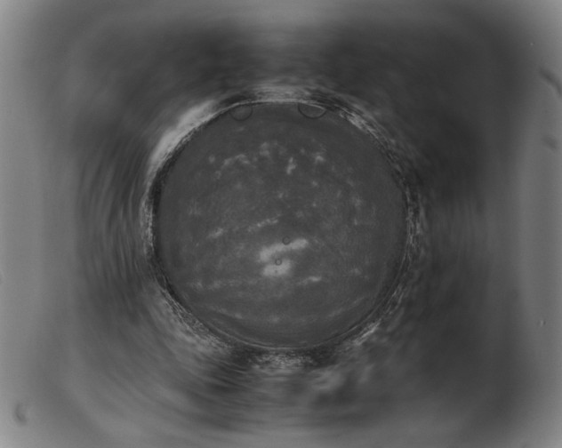 X0000103900343200809191244