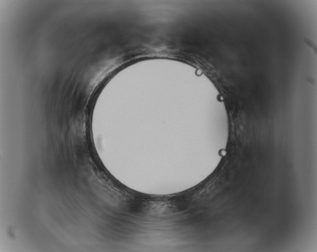 X0000103900344200809191244