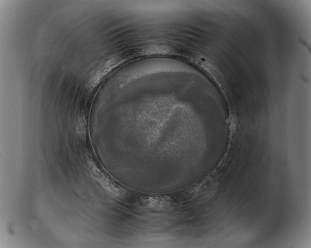 X0000103900345200809191244