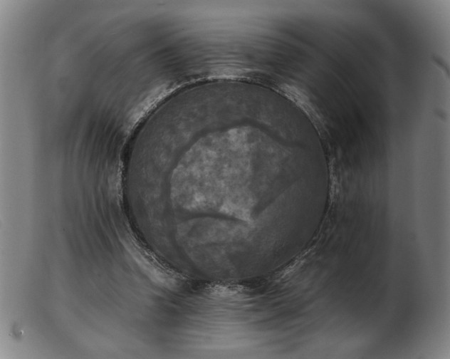X0000103900346200809191244