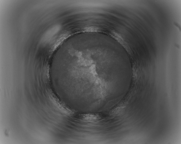 X0000103900347200809191244