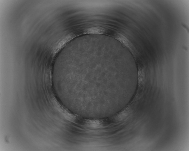X0000103900349200809191244