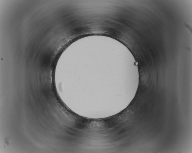X0000103900350200809191244