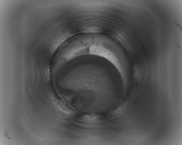 X0000103900351200809191244