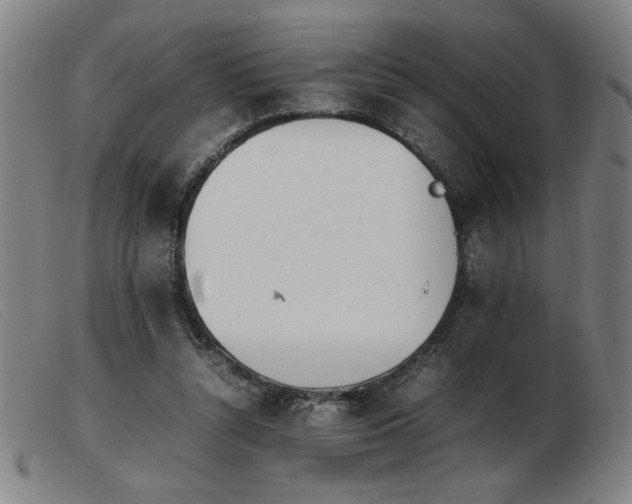 X0000103900352200809191244