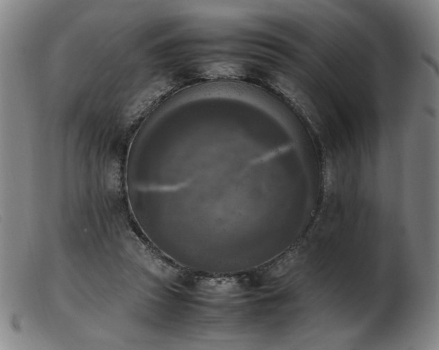 X0000103900353200809191244