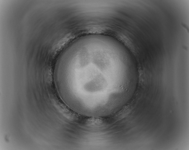 X0000103900354200809191244