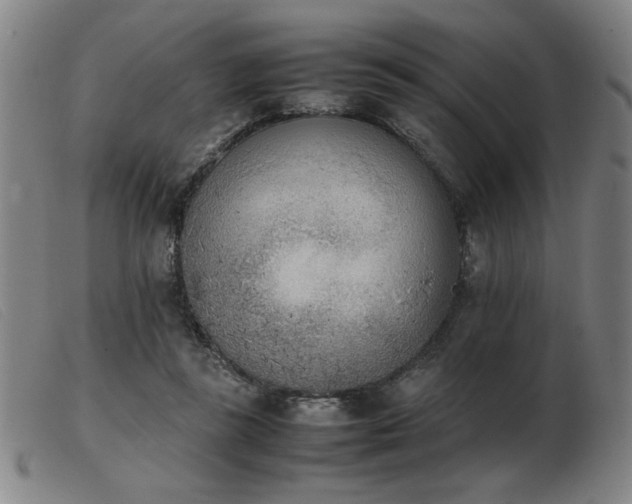 X0000103900355200809191244