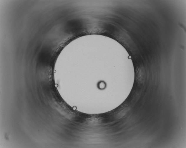 X0000103900356200809191244