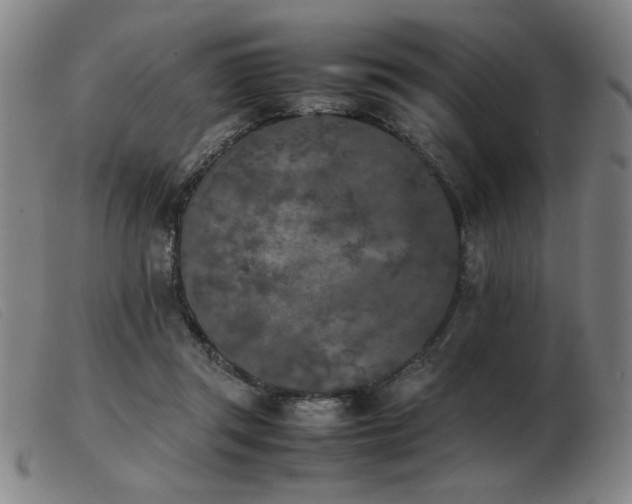 X0000103900357200809191244