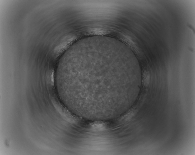 X0000103900358200809191244