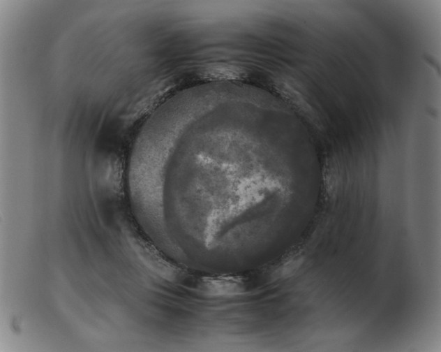 X0000103900359200809191244