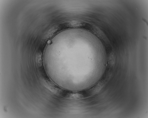 X0000103900360200809191244