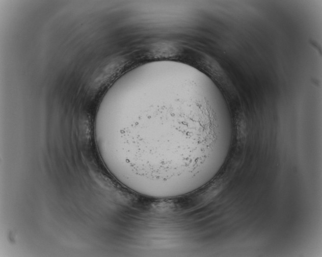 X0000103900362200809191244