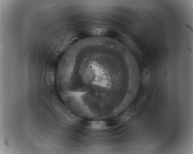 X0000103900363200809191244