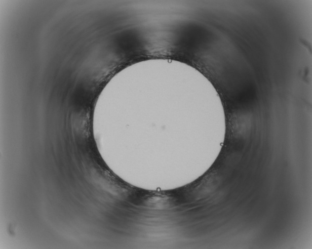 X0000103900364200809191244