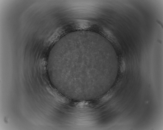 X0000103900366200809191244