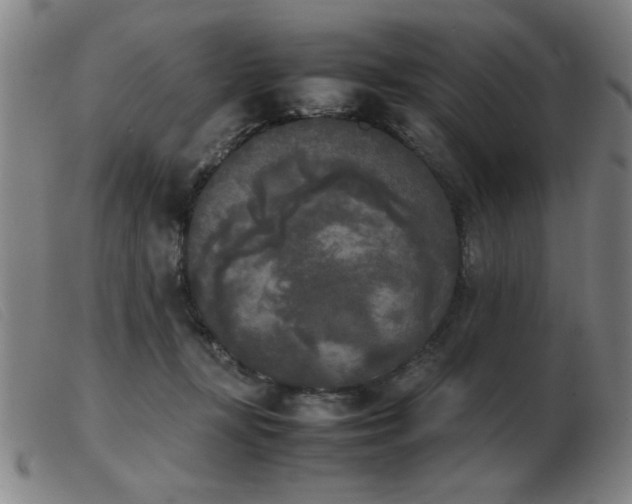 X0000103900367200809191244
