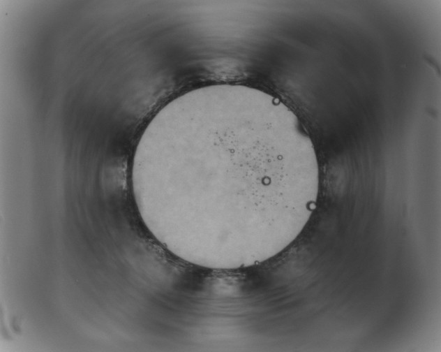 X0000103900368200809191244