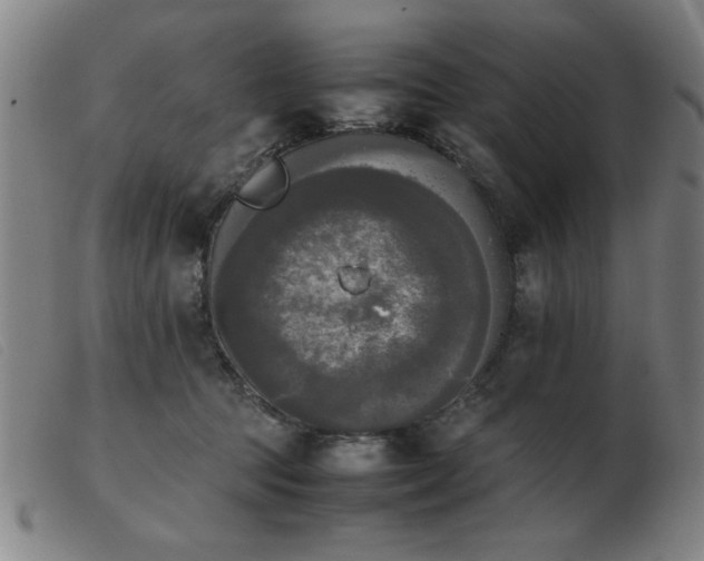 X0000103900369200809191244