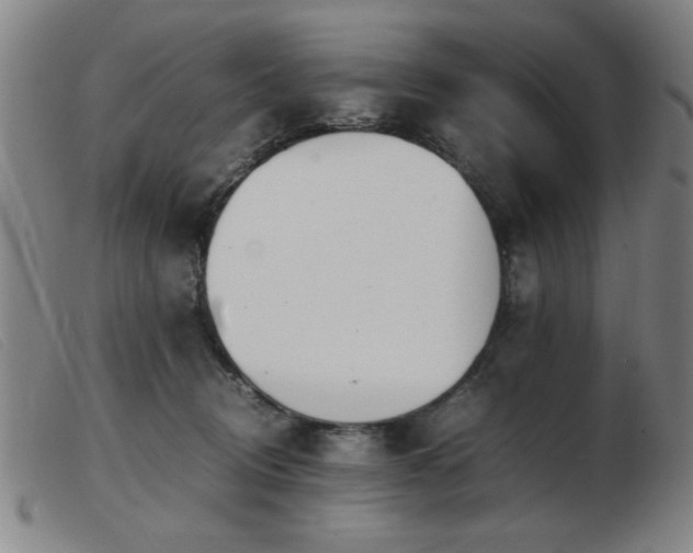X0000103900370200809191244