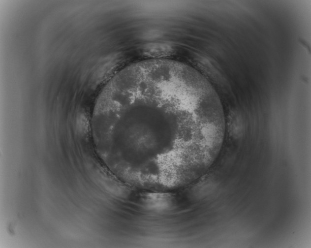 X0000103900371200809191244