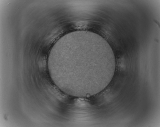 X0000103900372200809191244