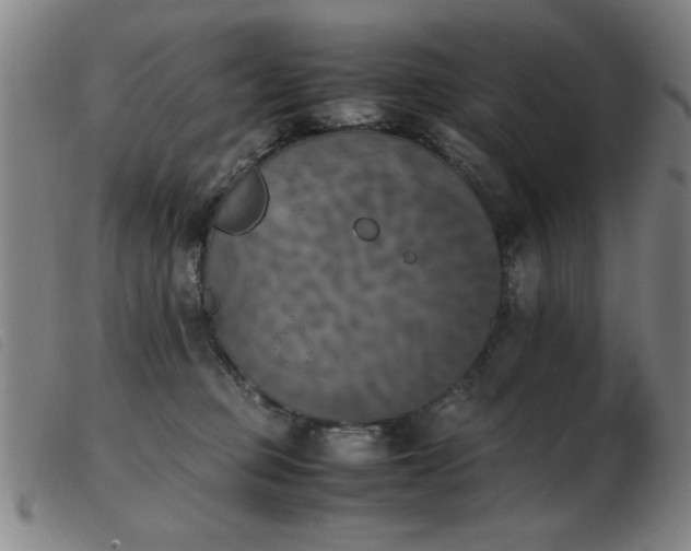 X0000103900373200809191244