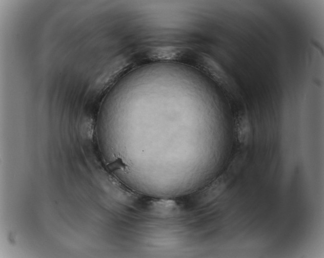 X0000103900374200809191244