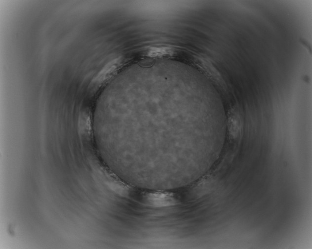 X0000103900375200809191244