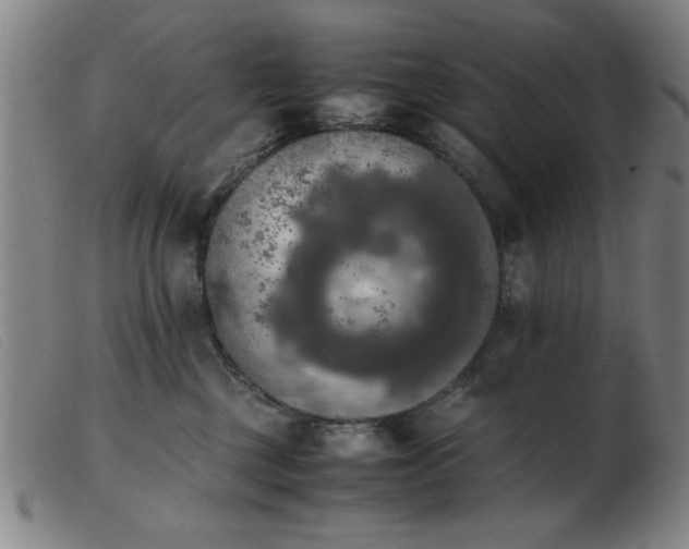 X0000103900377200809191244