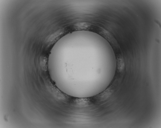 X0000103900378200809191244