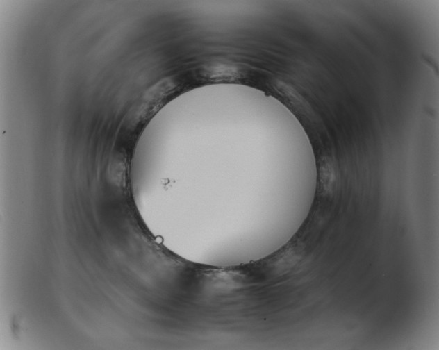 X0000103900379200809191244