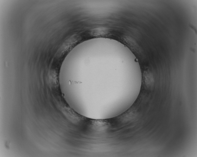 X0000103900380200809191244