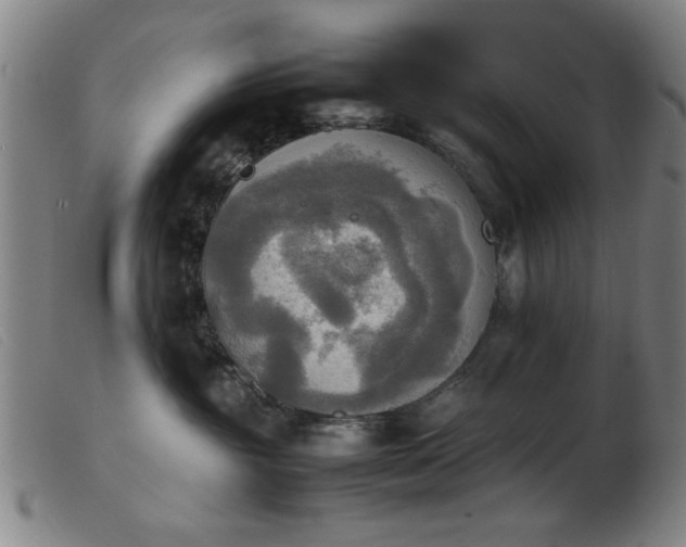 X0000103900381200809191244