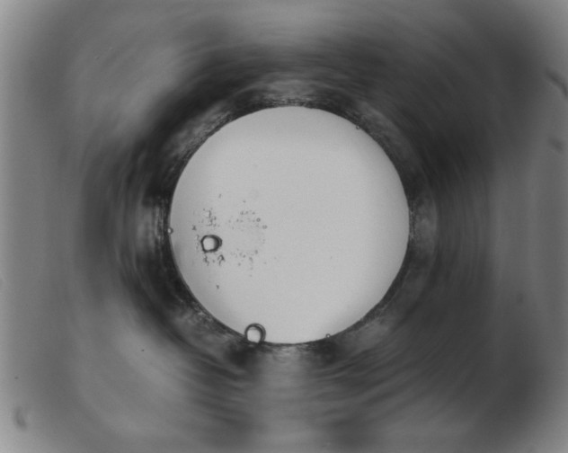 X0000103900382200809191244