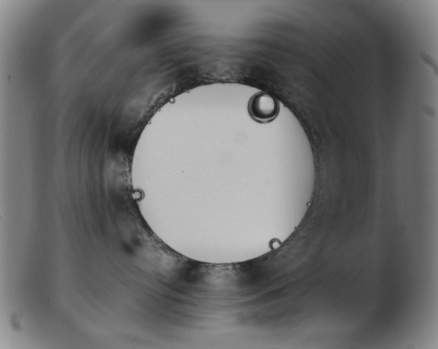 X0000103900384200809191244