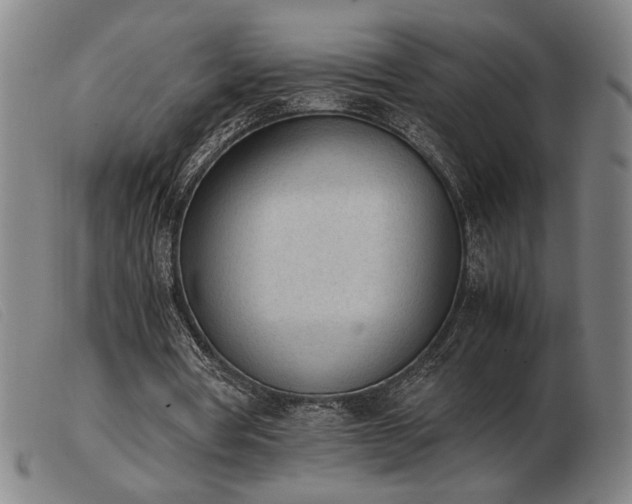 X0000103900386200809191244