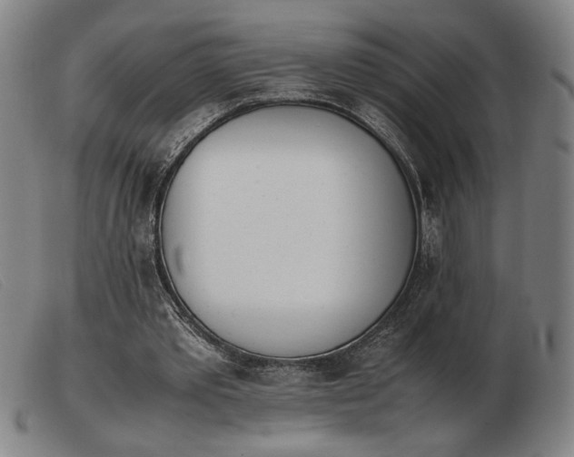 X0000103900389200809191244