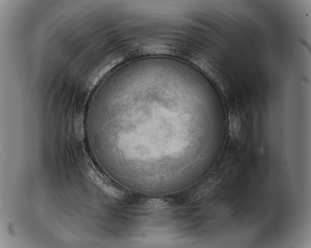 X0000103900390200809191244