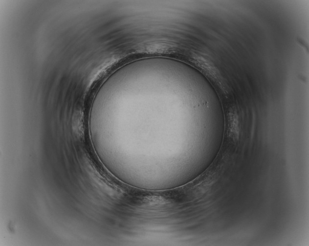 X0000103900392200809191244